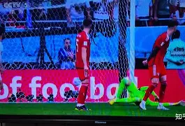 威尔士对白俄罗斯比分